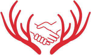 Hello Deer!